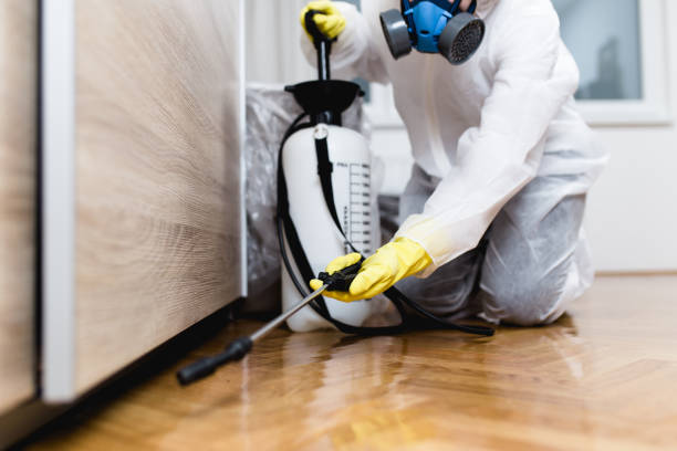 Best Termite Control Services  in Mattawan, MI