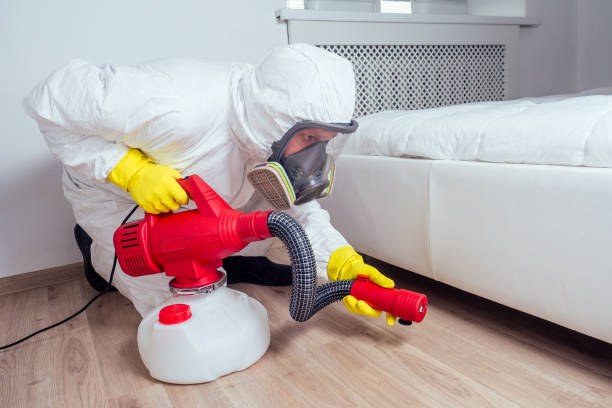 Best Pest Control for Homes  in Mattawan, MI