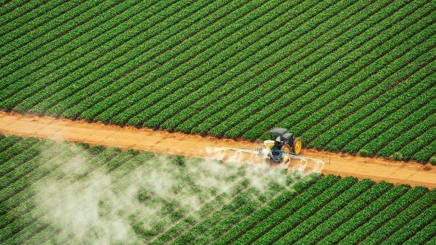 Best Pest Removal Services  in Mattawan, MI
