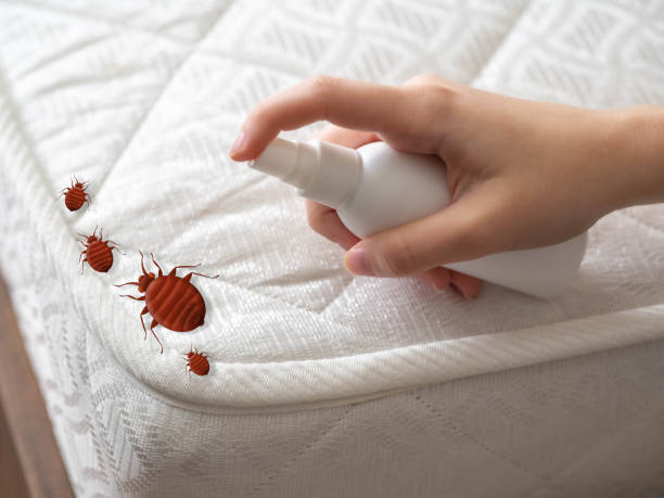 Best Flea Control Services  in Mattawan, MI