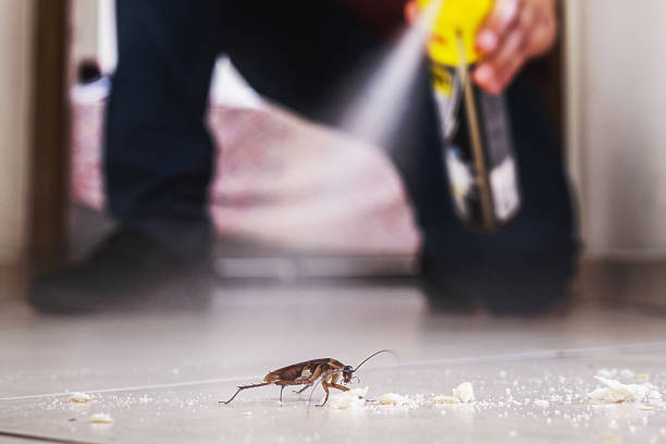 Best Mosquito Control Services  in Mattawan, MI